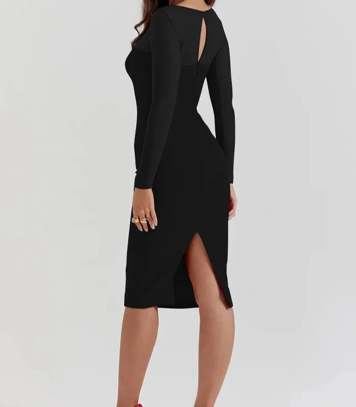 A&A Mesh Long Sleeve Plunge Maxi Dress