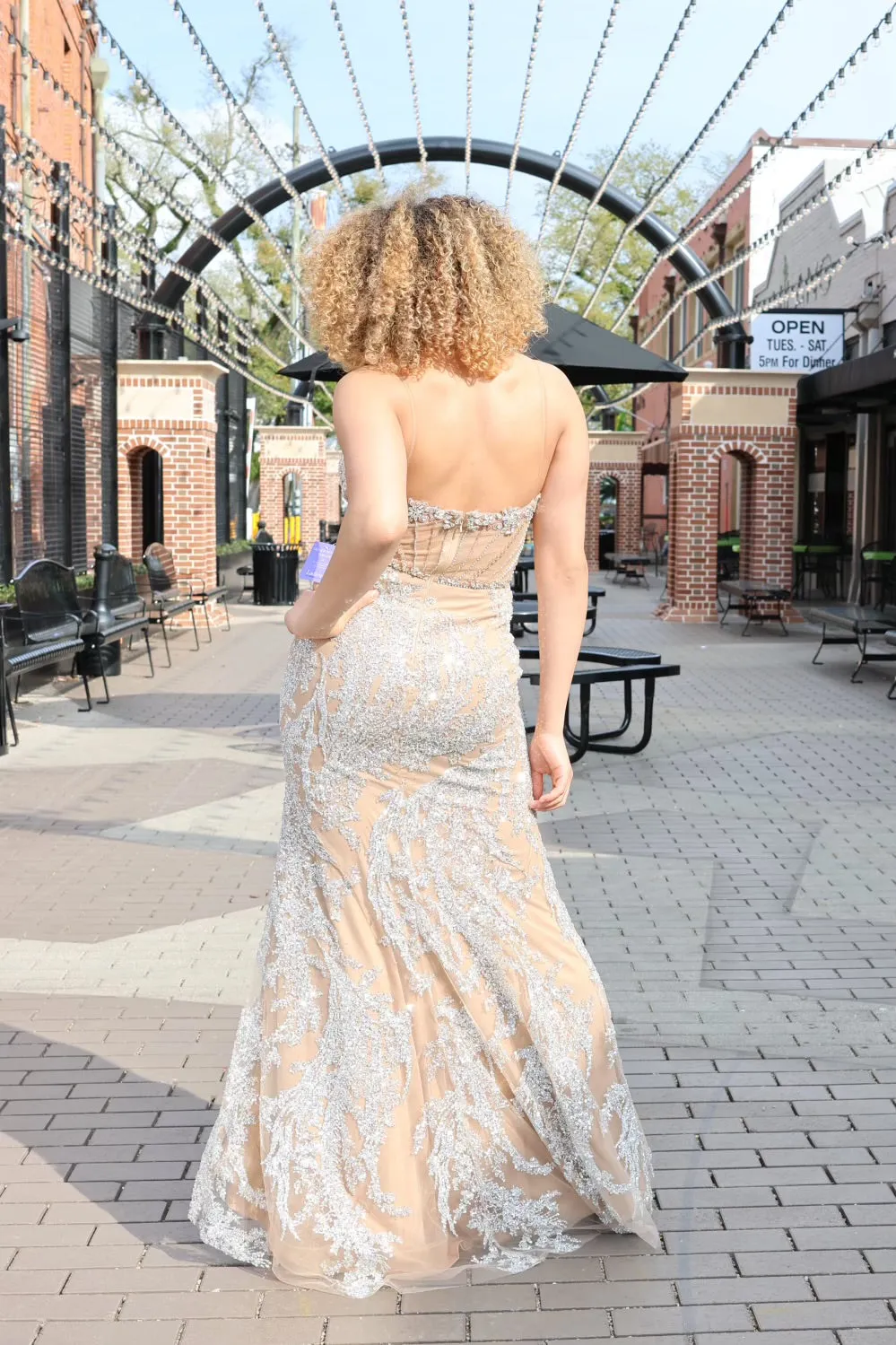 Alita Fully Embellished Crystal Nude Gown