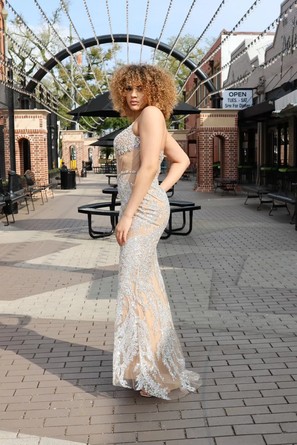 Alita Fully Embellished Crystal Nude Gown